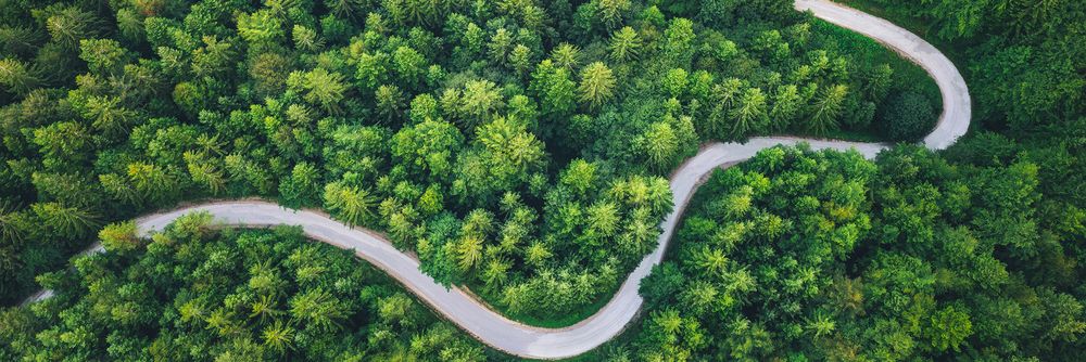 Arial view of a forest with a winding road