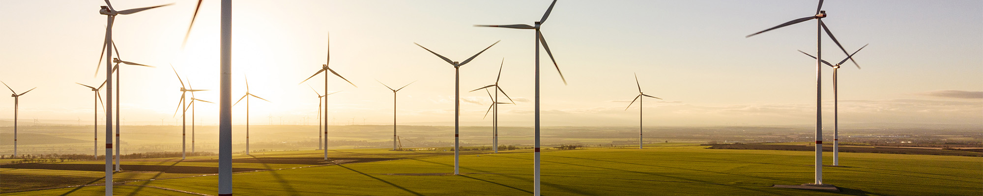 Aerial view of wind turbines in fields