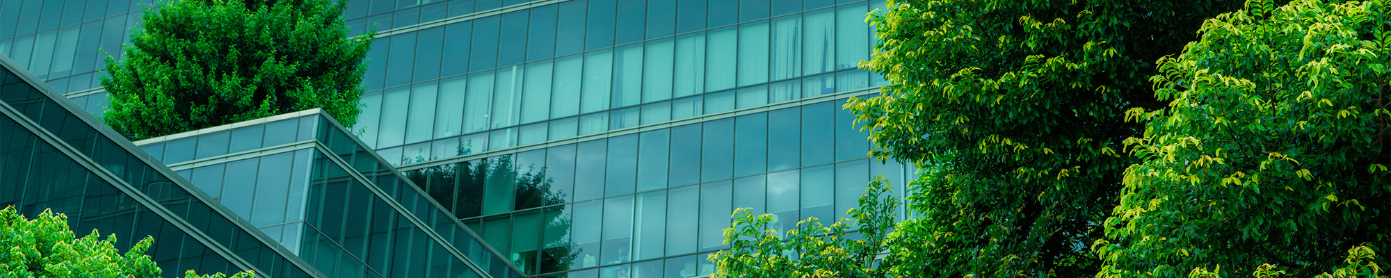 View of office building surrounded by trees