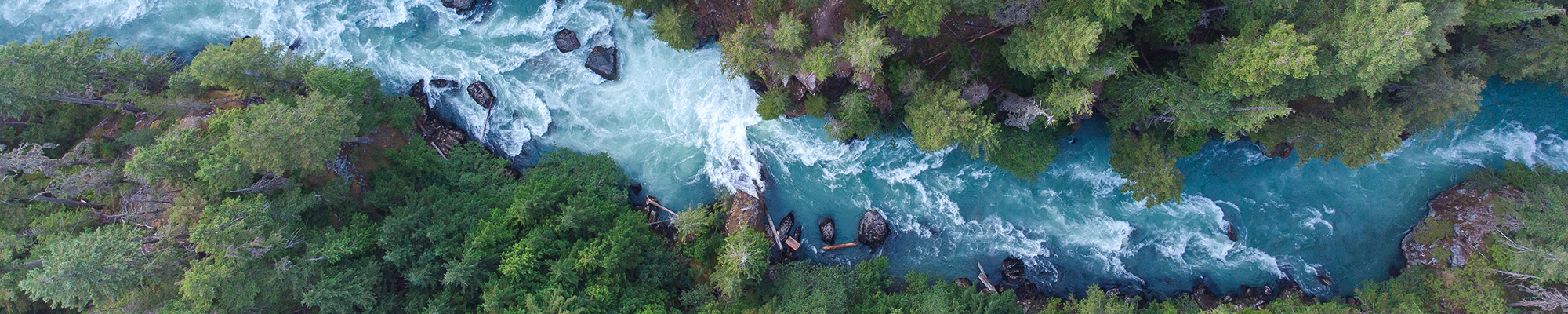 View from above looking down on forest with a river